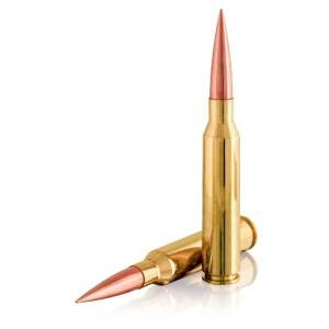Rifle Ammo